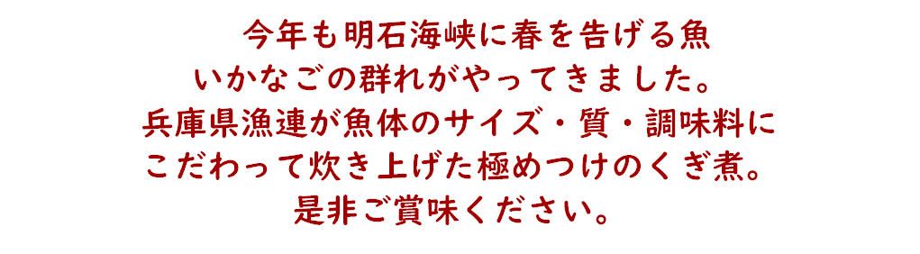 いかなごキャッチ4