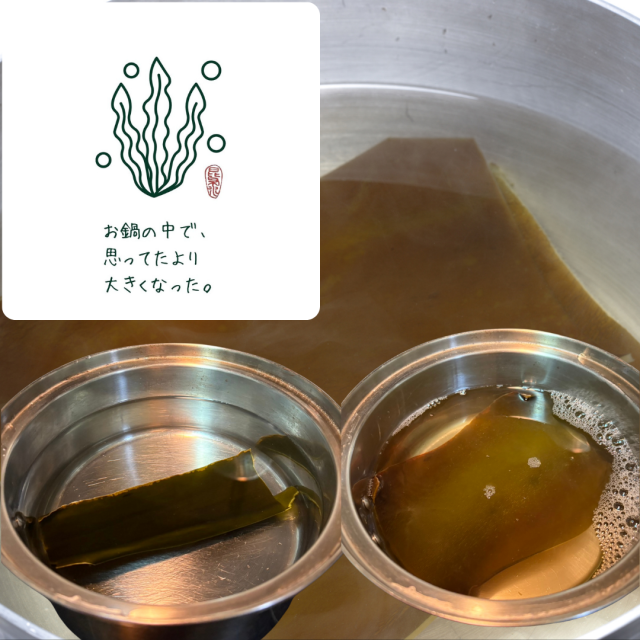 こんぶ編愛コースター 天満大阪昆布