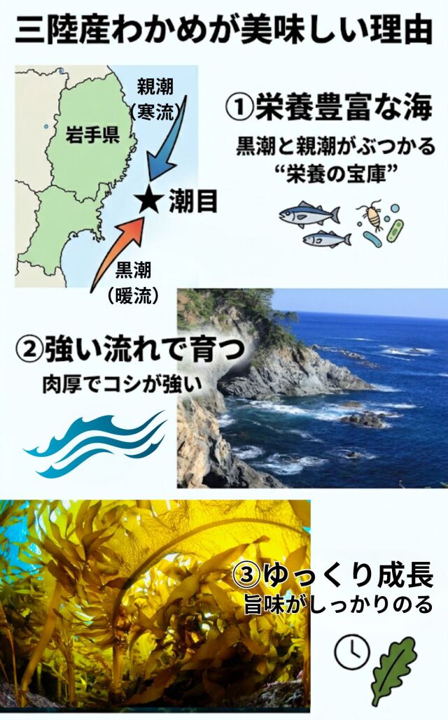 天満大阪昆布 訳あり三陸産生わかめ500ｇ